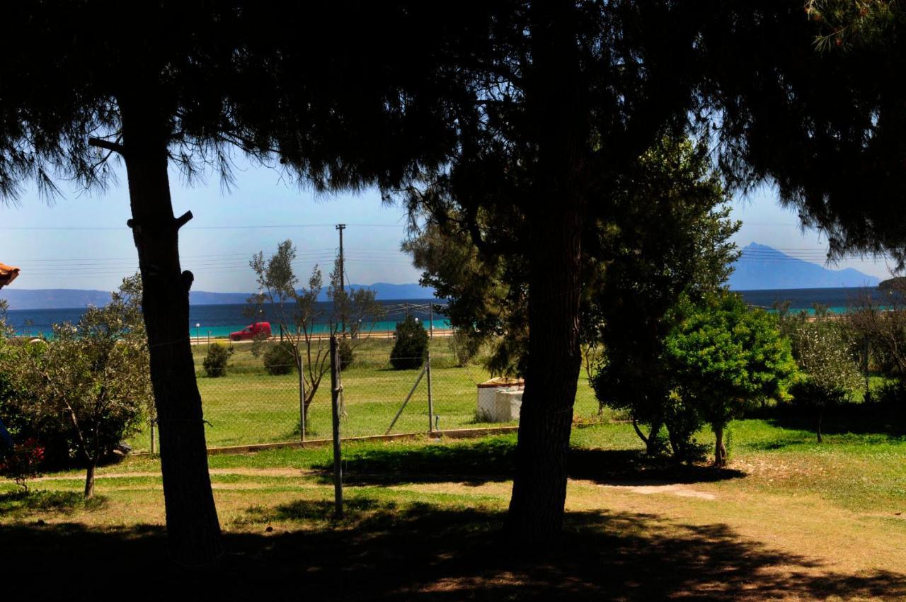 Athos View Villa By The Sea Ormos Panagias Eksteriør billede